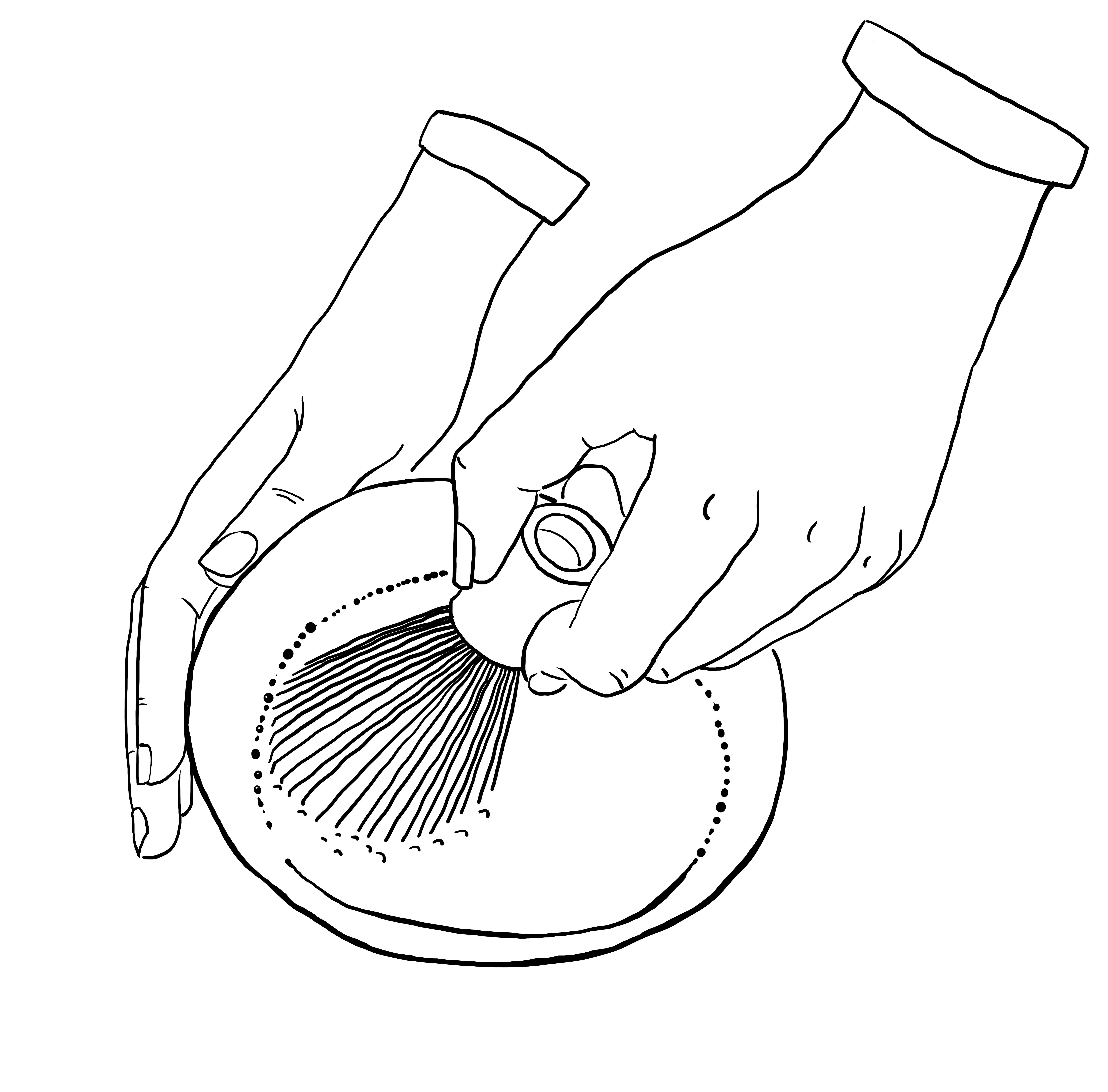 Packaging Illustration for Motchimu made by Adriana Alves